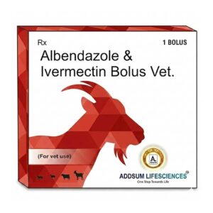 Albendazole and Ivermectin