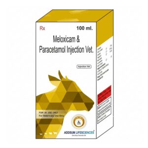 Meloxicam and Paracetamol Injection